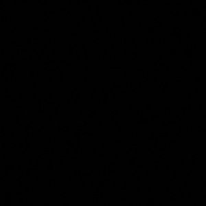 Meet your Posher, Bri